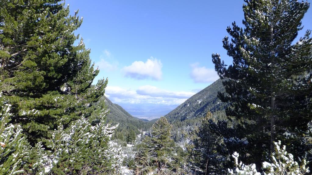 Bansko Prespa Ski Penthouse Oda fotoğraf